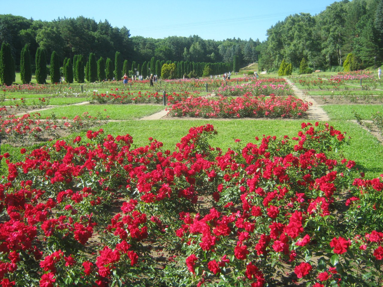 Маршрут Колоннада-Долина Роз
